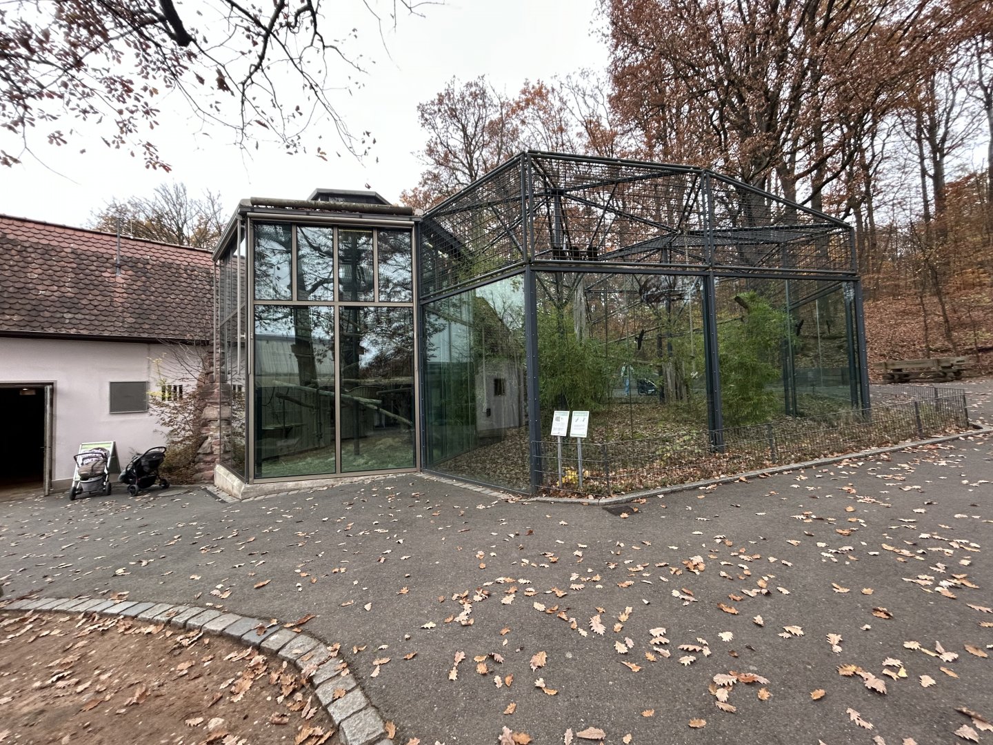 White-handed Gibbon Exhibit