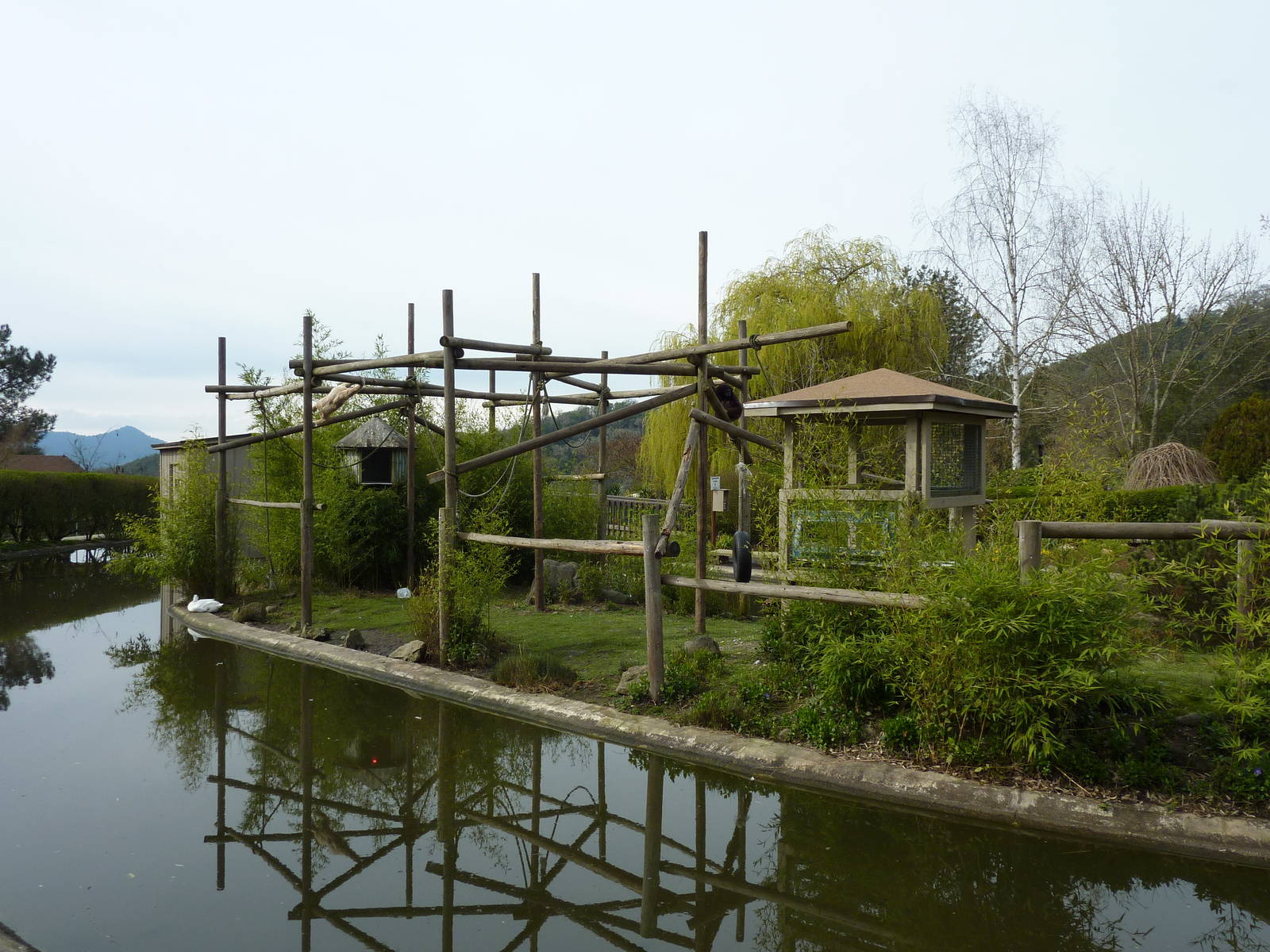White-Handed Gibbon Exhibit