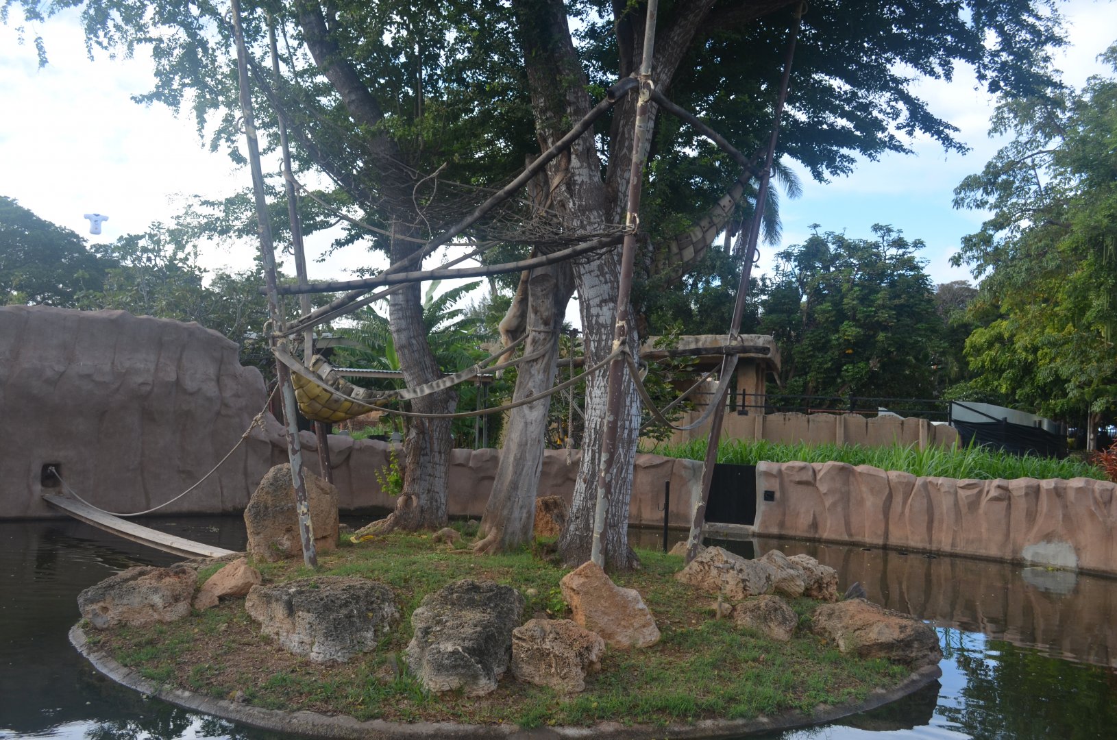 White-handed Gibbon Habitat