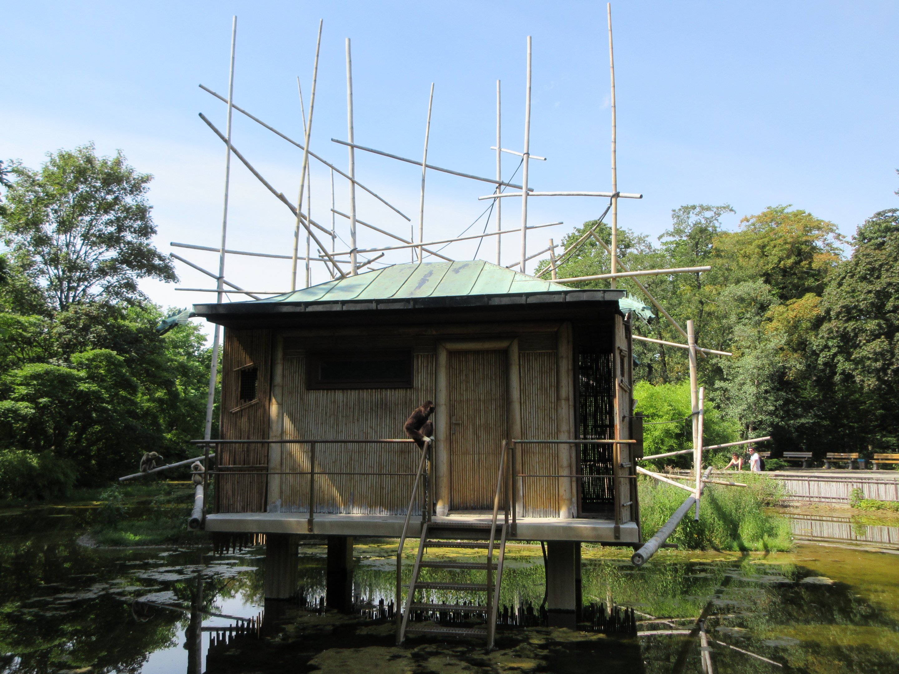 White-handed Gibbon House