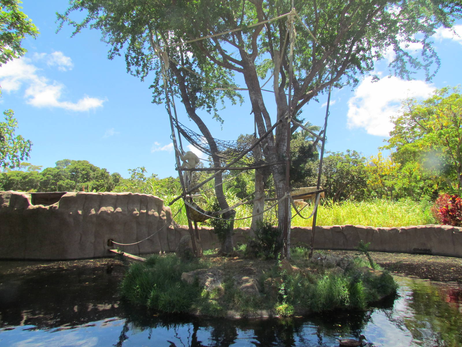 White-handed Gibbon Island