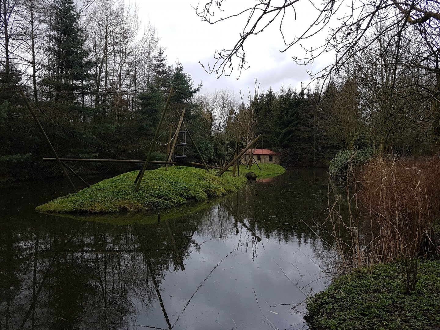 White-handed gibbon island