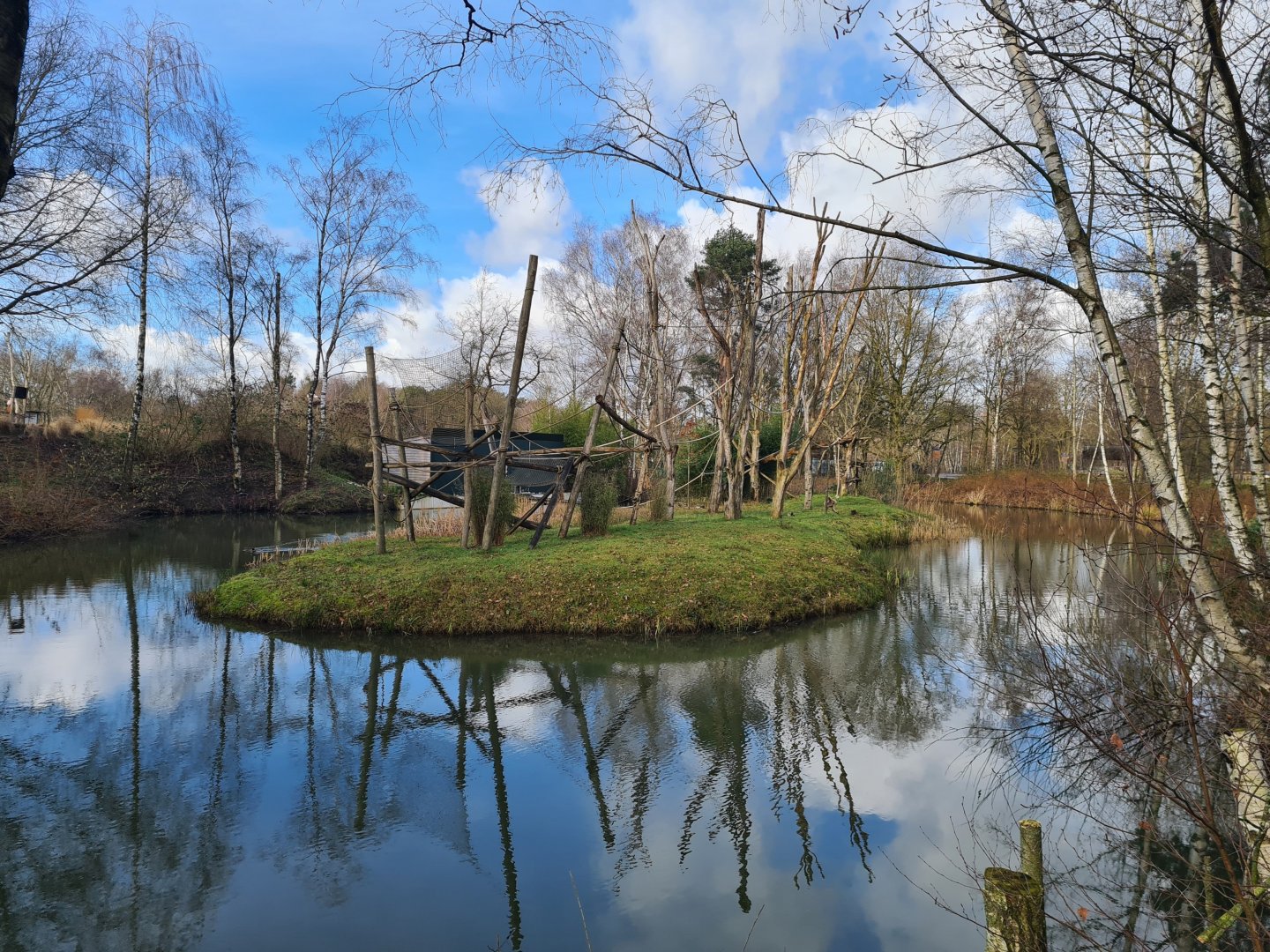 White-handed gibbon island