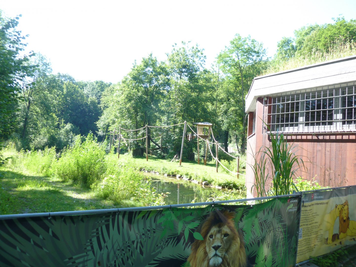 White-handed gibbon island