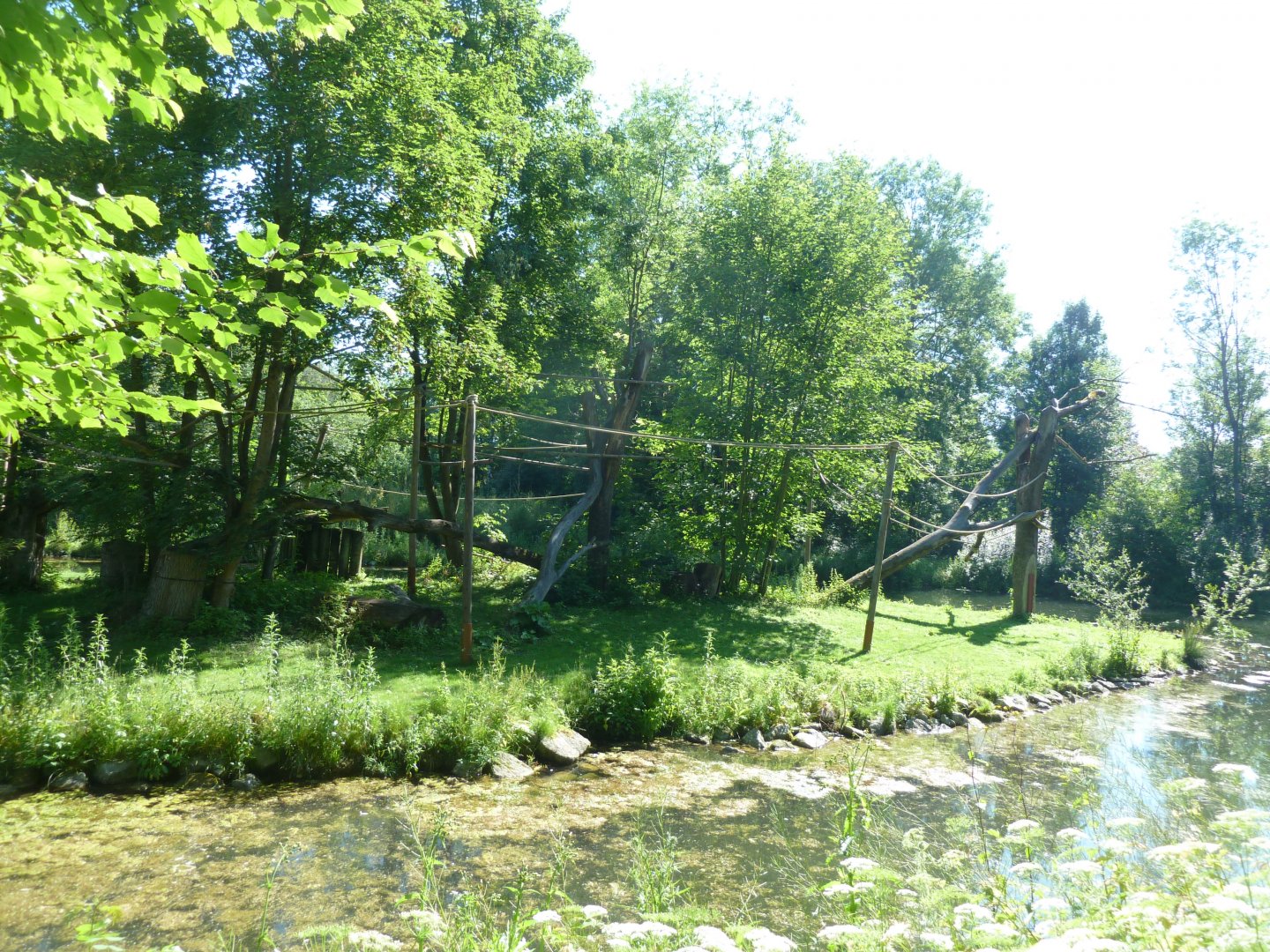 White-handed gibbon island