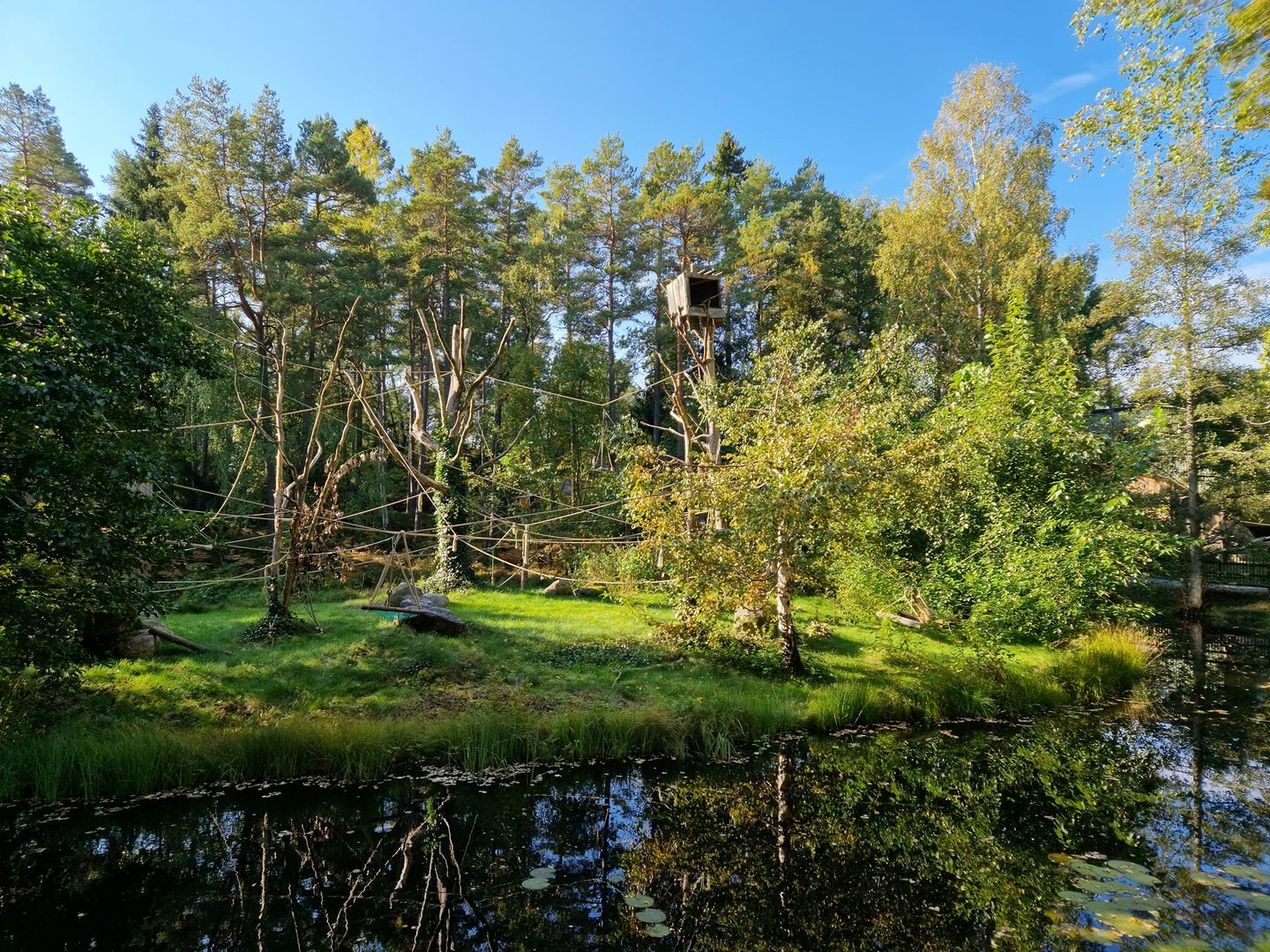 White-handed Gibbon Island