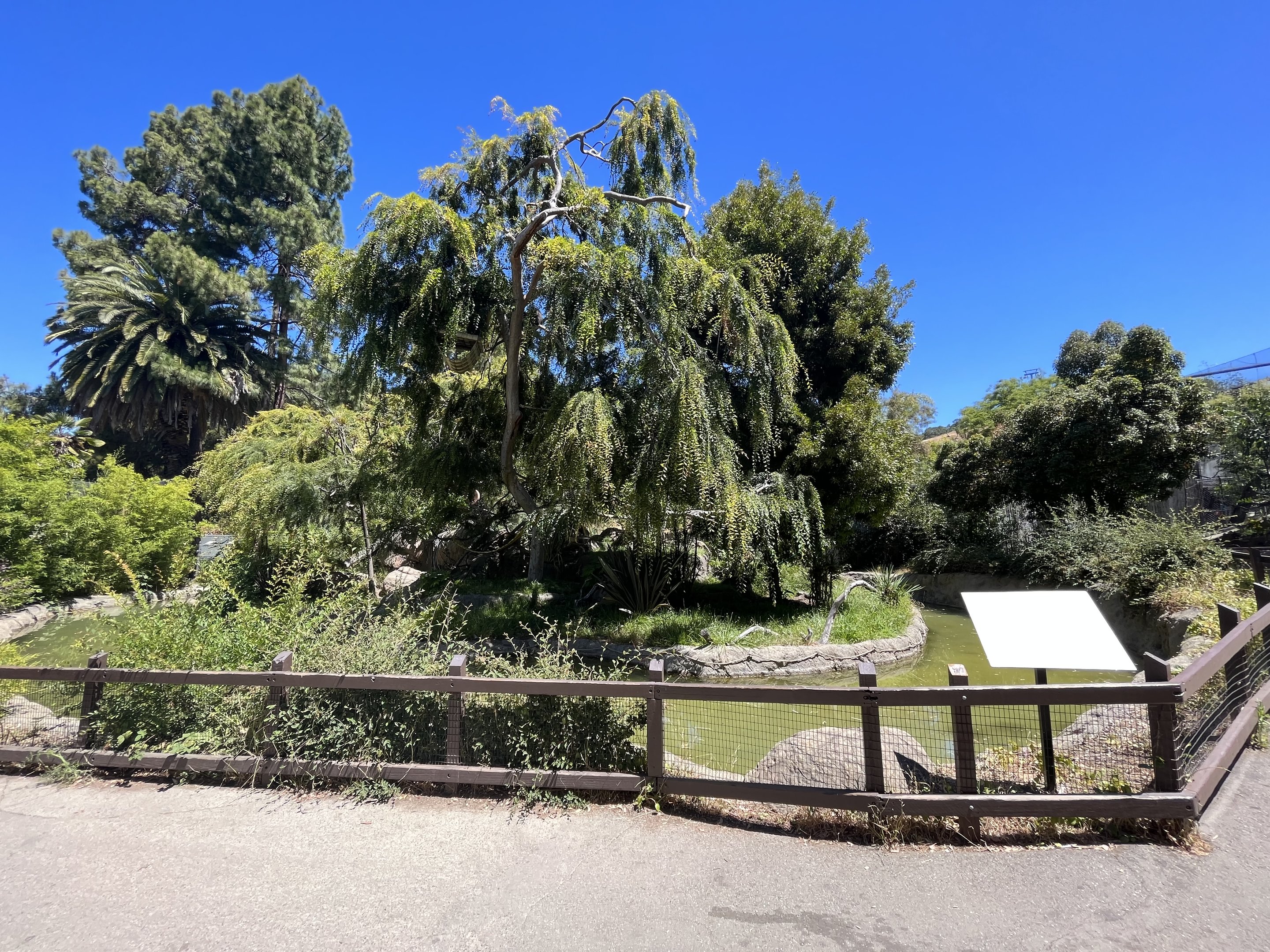 White-handed Gibbon Island