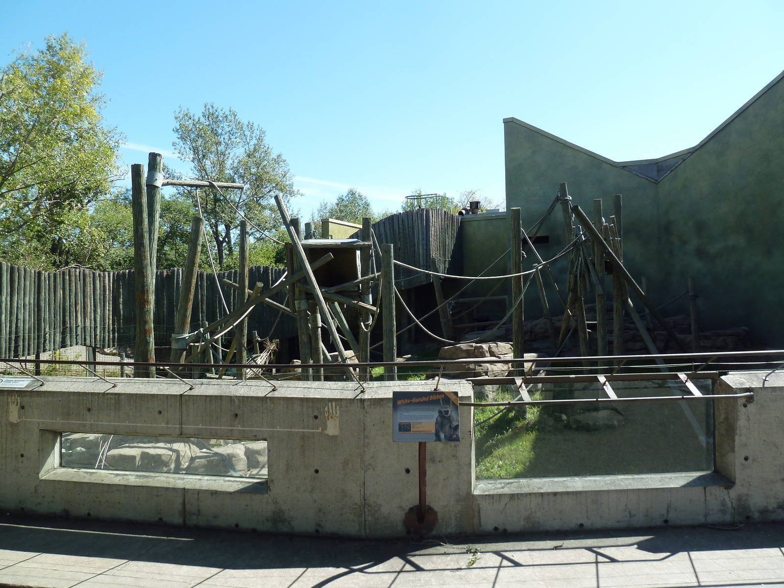 White-Handed Gibbon/Japanese Serow Exhibit