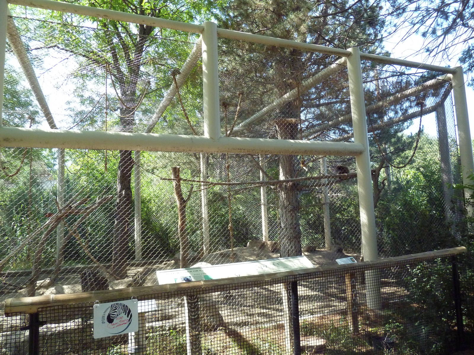 White-Handed Gibbon/Reeve's Muntjac/Temminck's Tragopan Exhibit