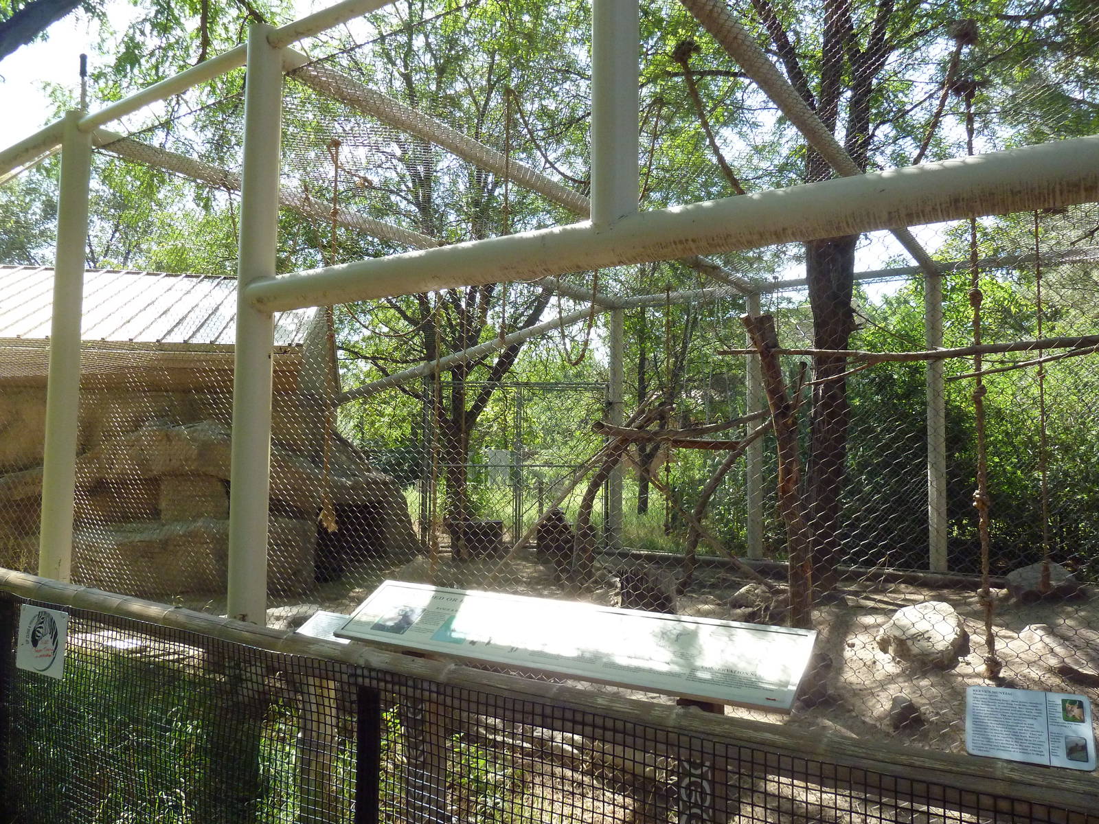 White-Handed Gibbon/Reeve's Muntjac/Temminck's Tragopan Exhibit