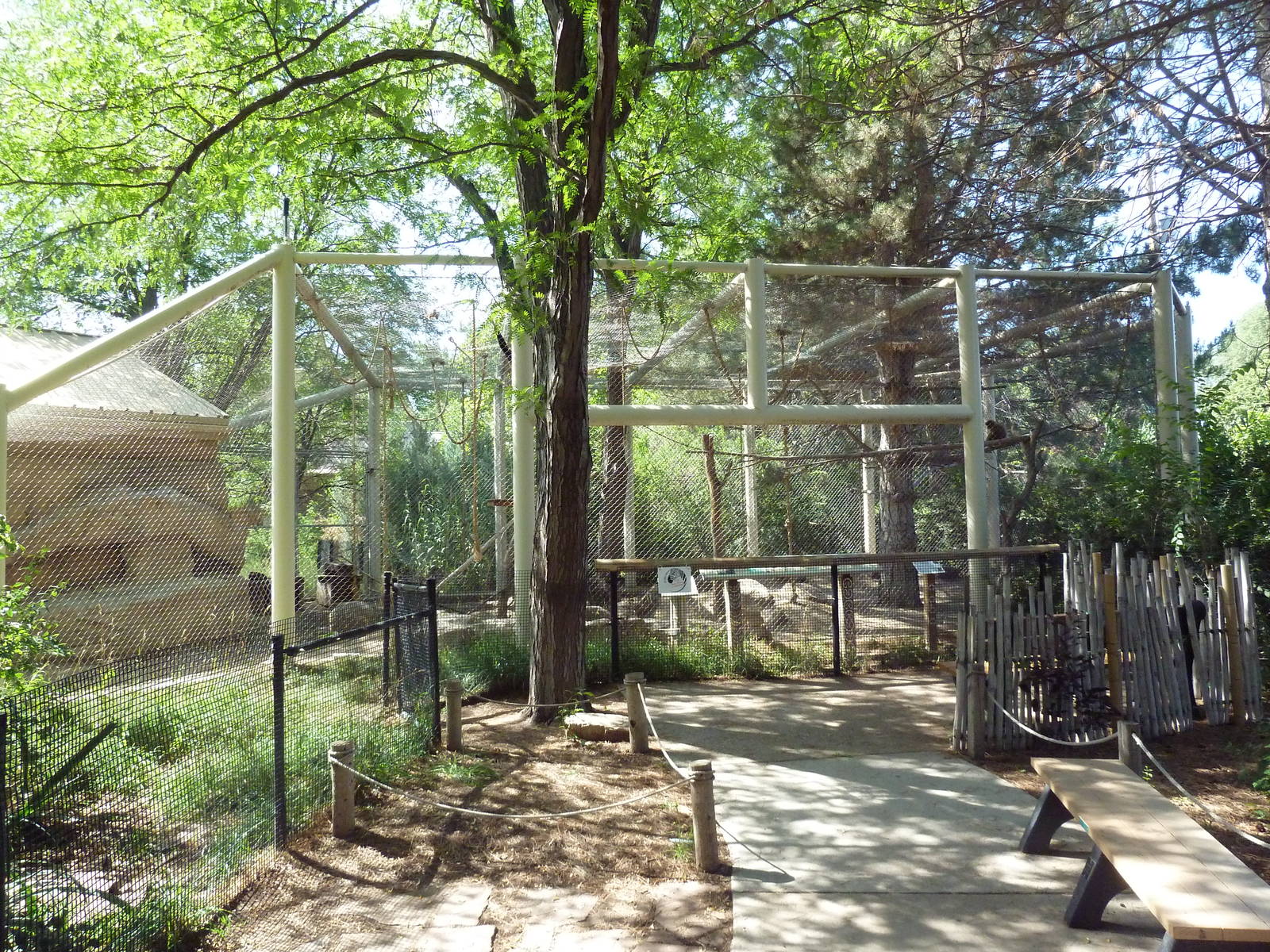 White-Handed Gibbon/Reeve's Muntjac/Temminck's Tragopan Exhibit