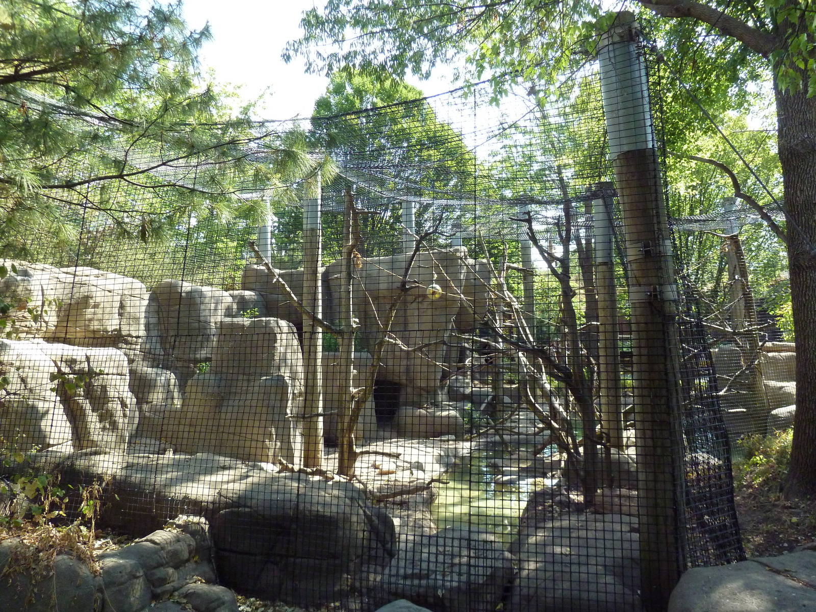 White-Handed Gibbon/Small-Clawed Otter Exhibit
