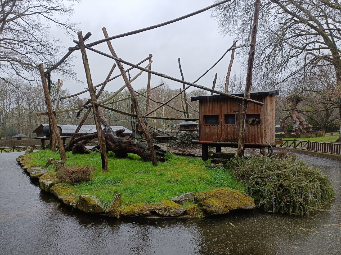 White-headed lemur exhibit -Marcelle Naturaleza