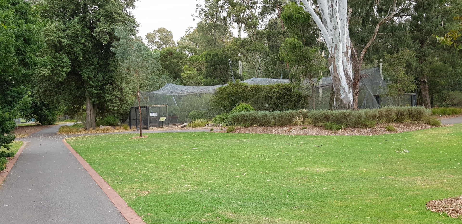 White Hills Botanic Garden - Walk thru avairy