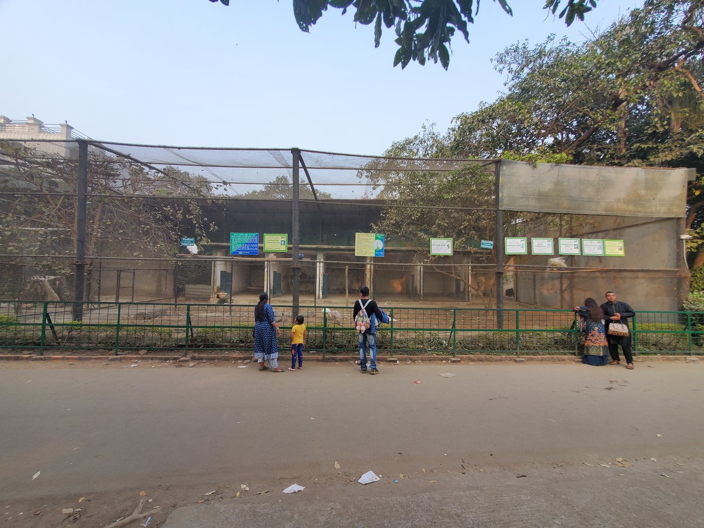 White Indian Peafowl Exhibit - January 2023