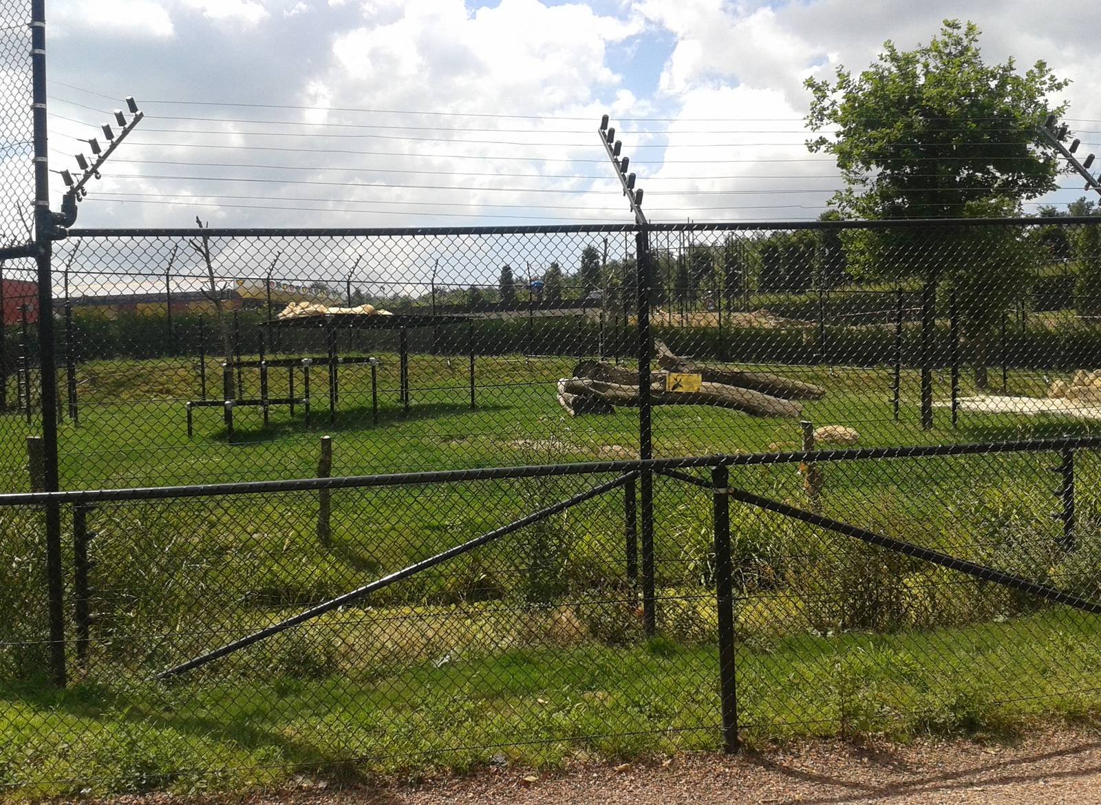 White lion enclosure