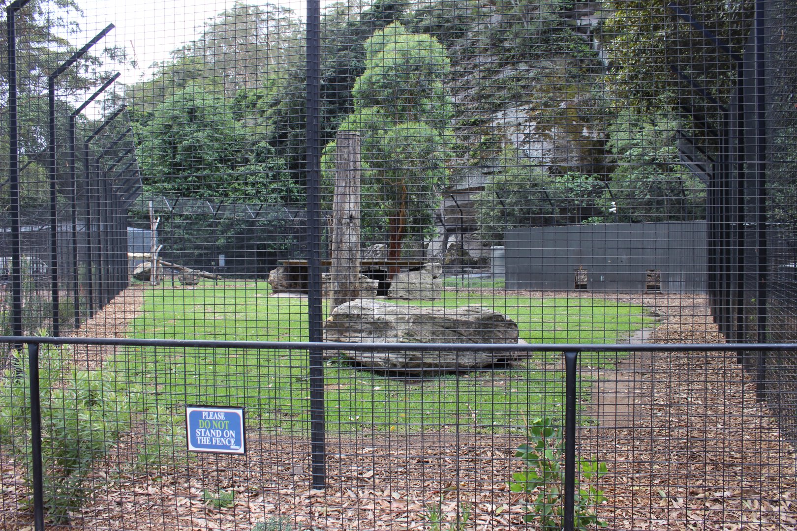 White Lion Enclosure