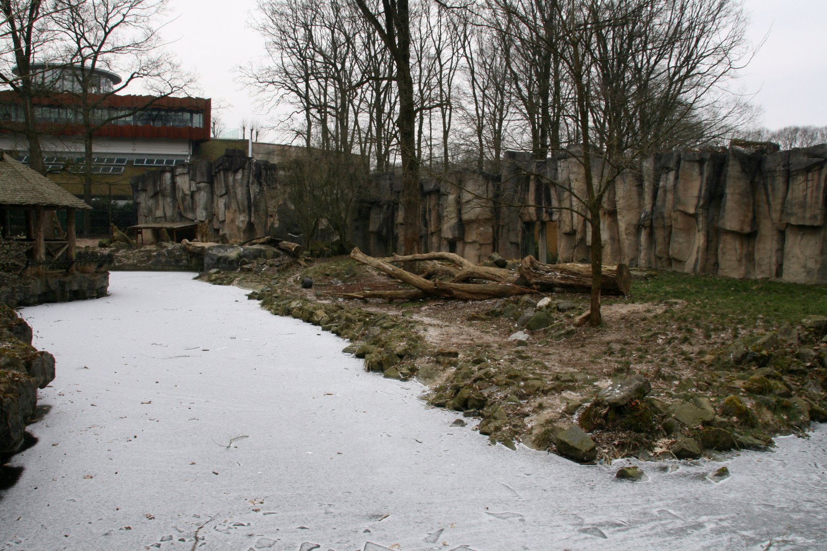white lion enclosure