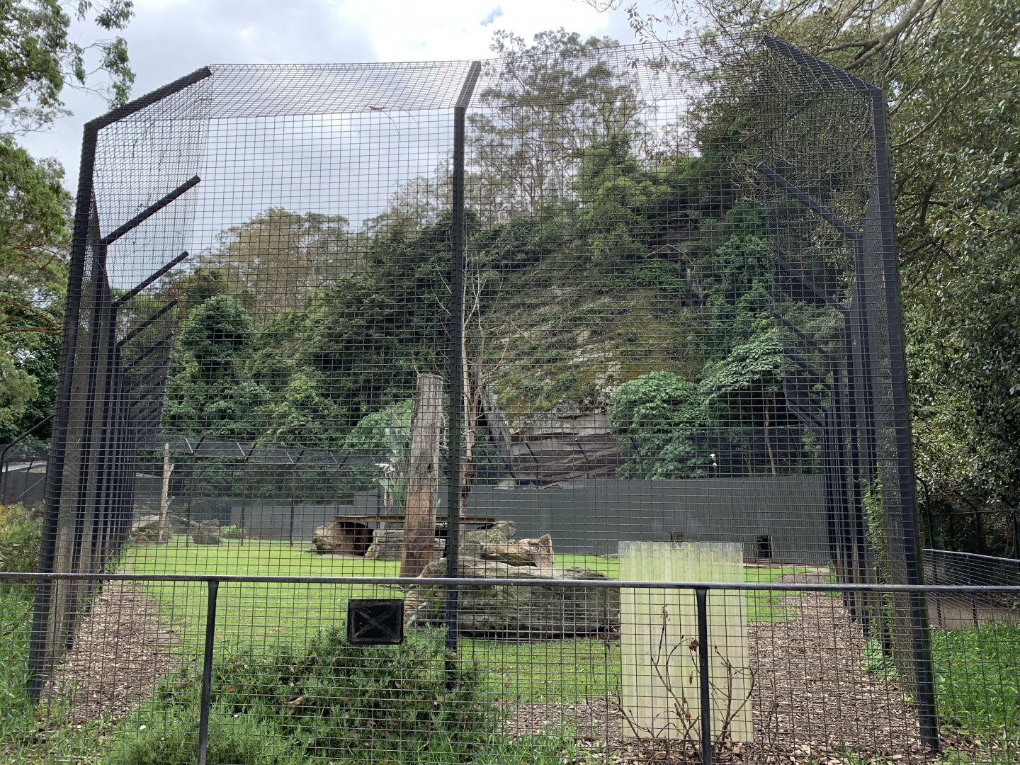 White Lion Enclosure