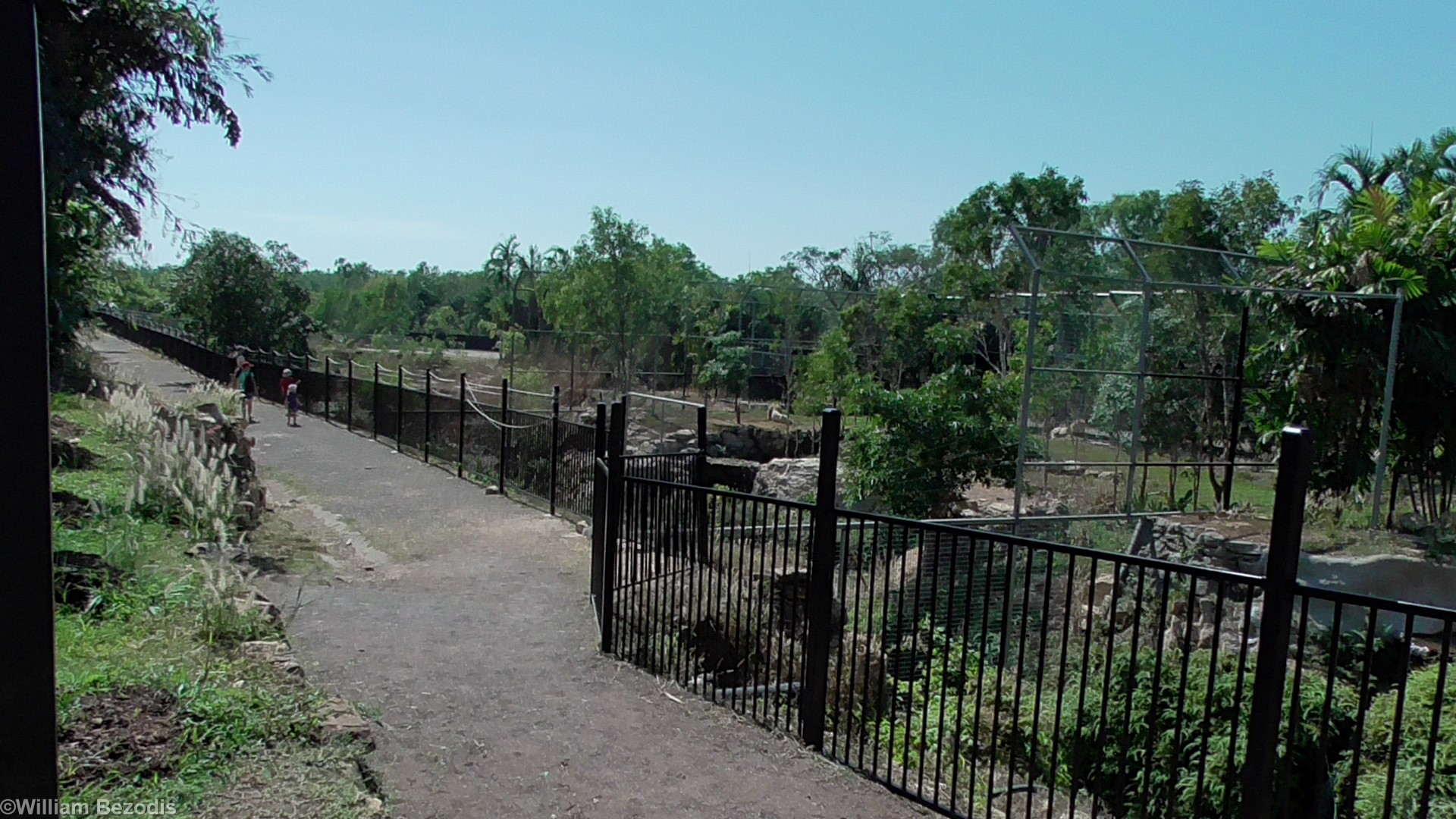 White Lion Enclosures