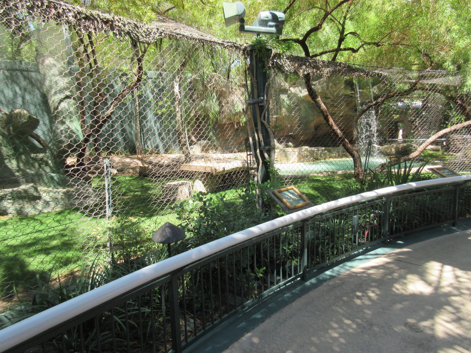 White Lion Exhibit #1