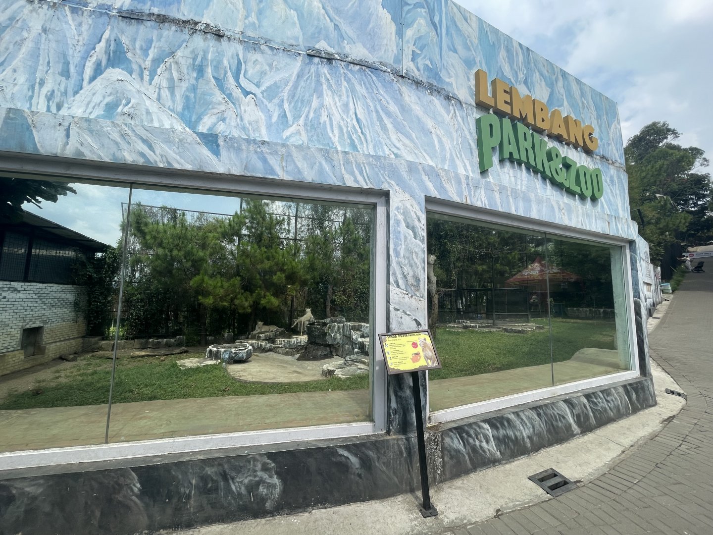 white lion exhibit (2)