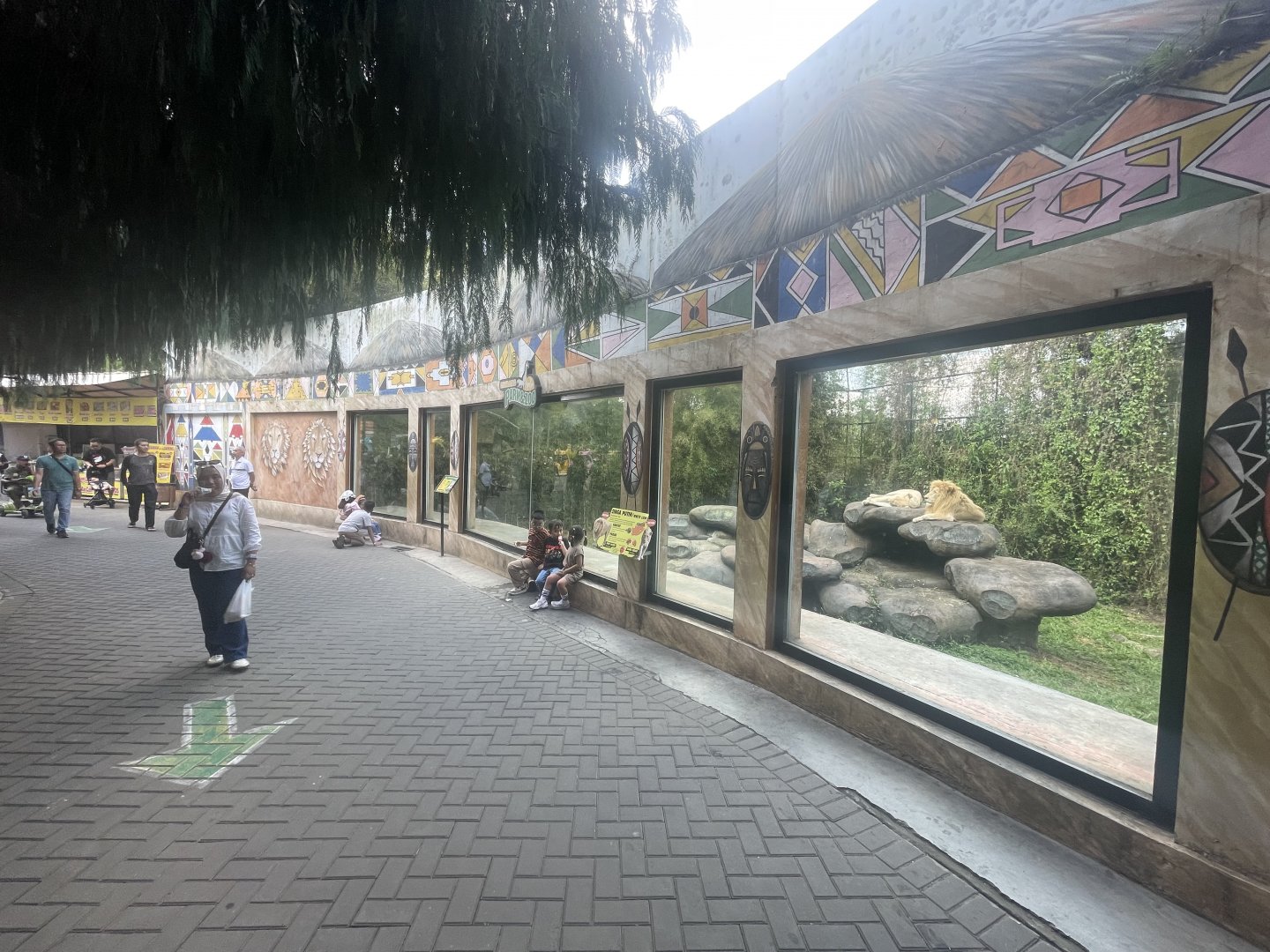 white lion exhibit (3)