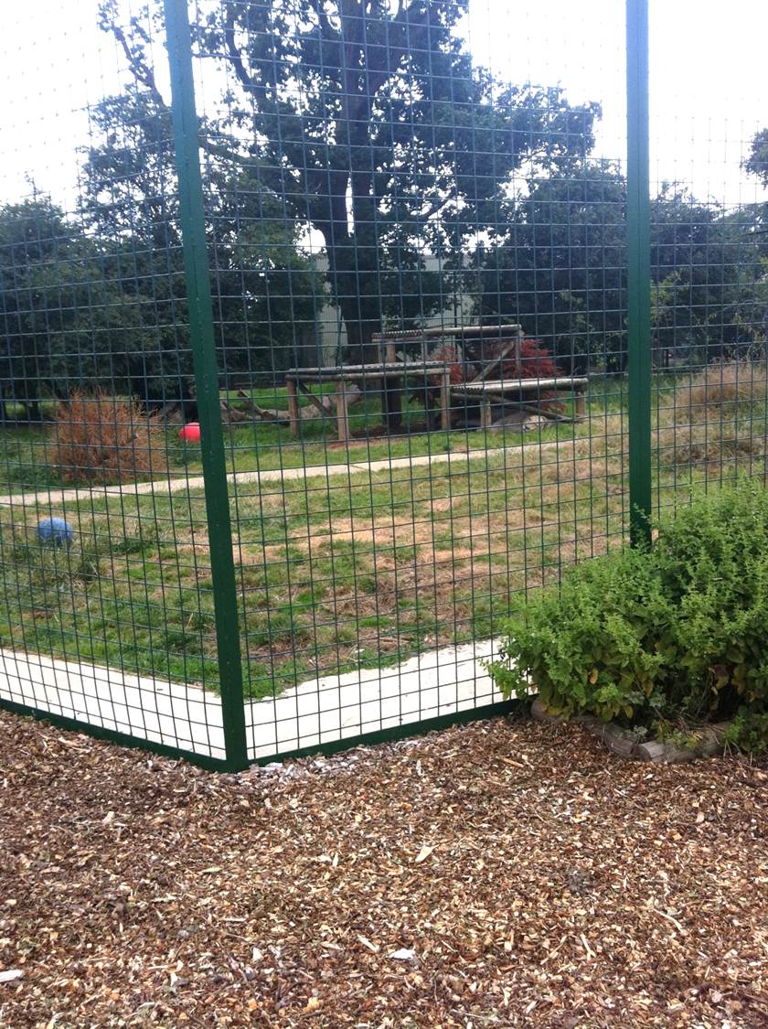 White Lion Exhibit (3rd July 2011)