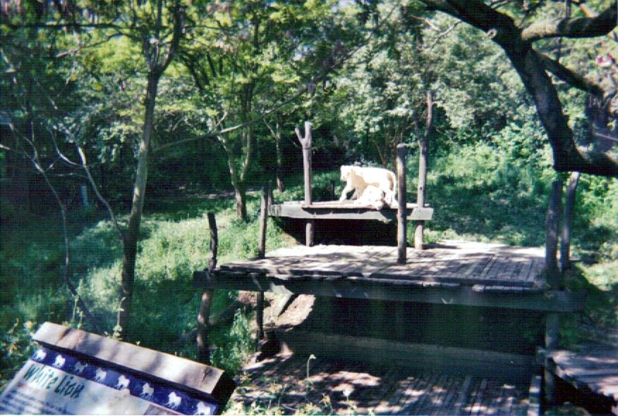 White Lion Exhibit - May 2004