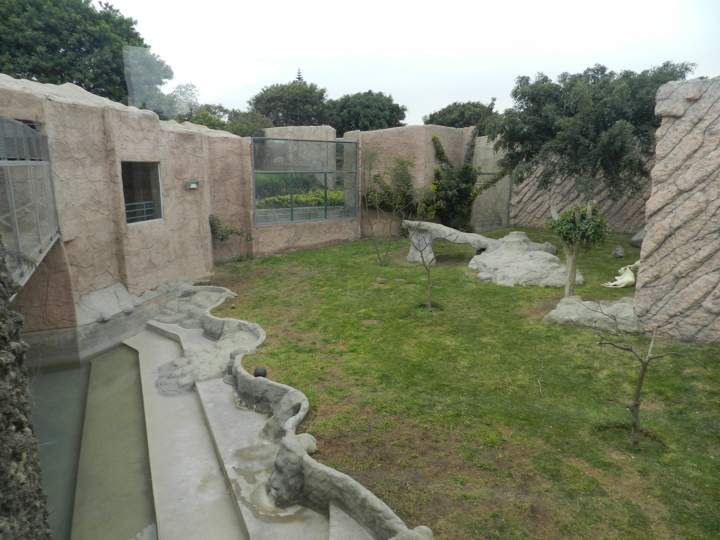 White lion exhibit - Parque de Las Leyendas