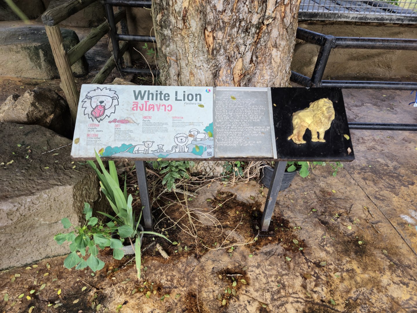 White Lion sign