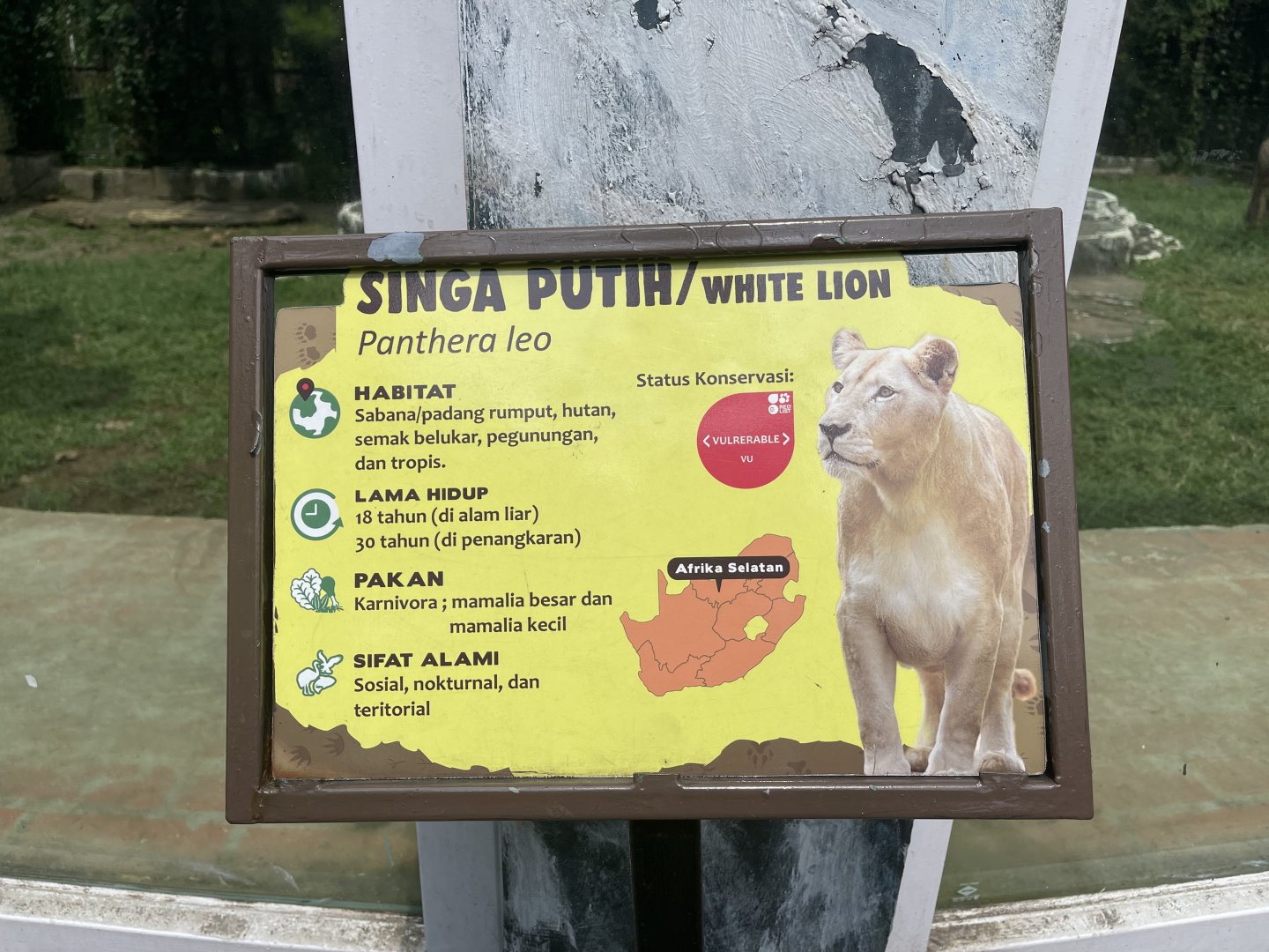 white lion signage (1)