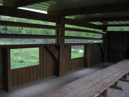 white lion viewing platform