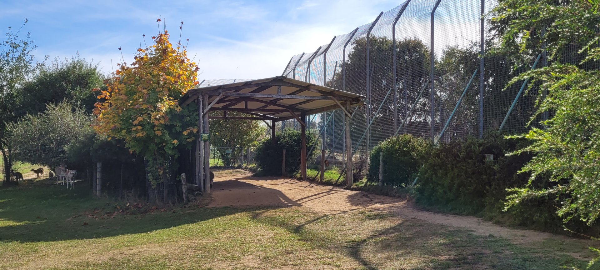White Lion viewing shelter