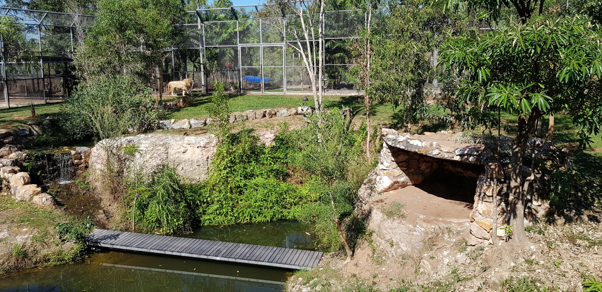 White Lions enclosure