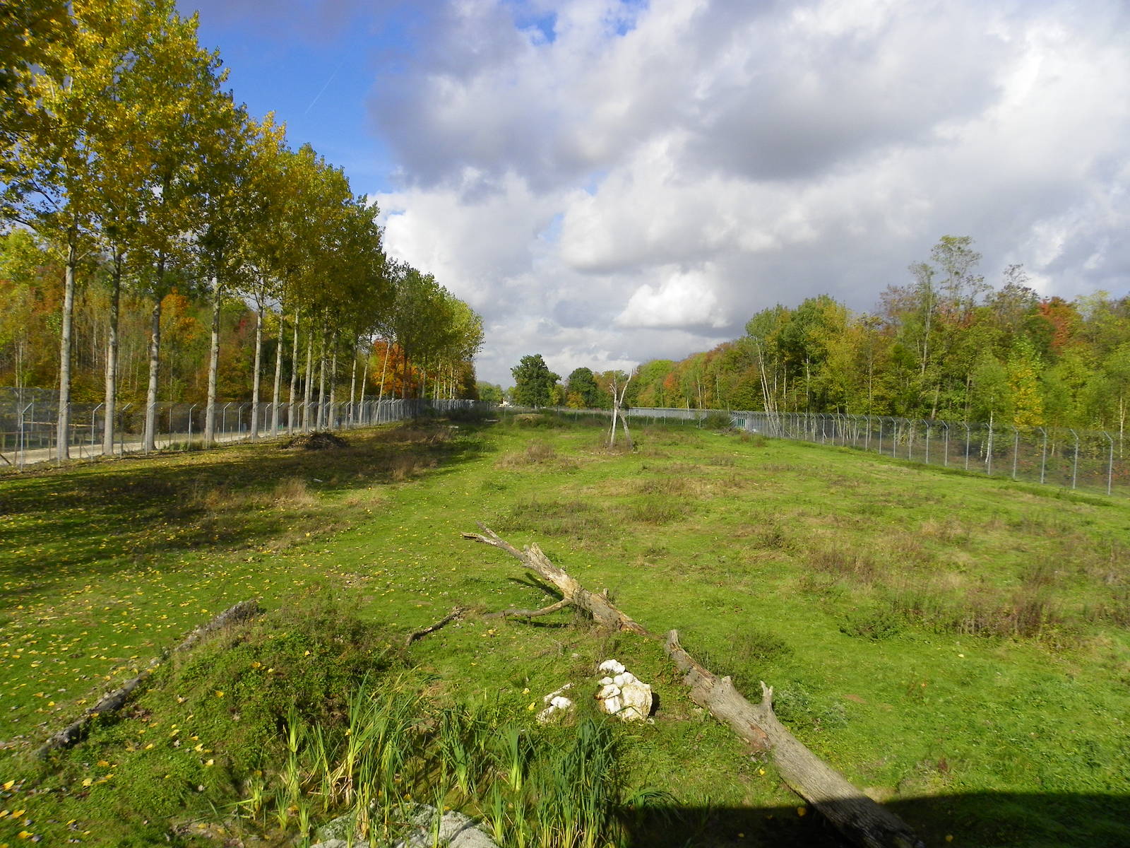 white lions enclosure