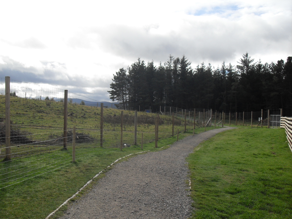 White lipped deer and Chinese grey goral enclosures.