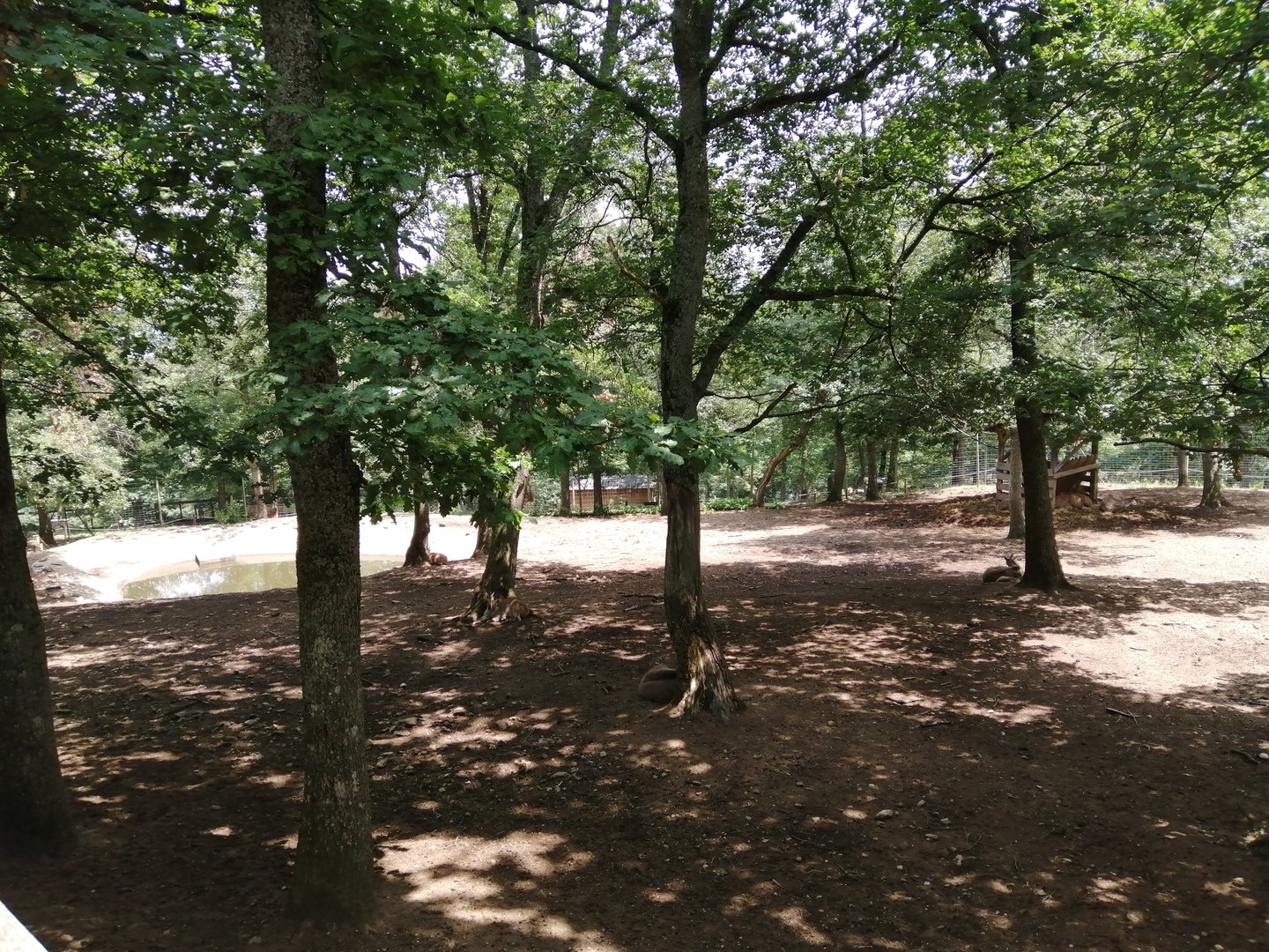 White-lipped deer and Himalayan tahr exhibit