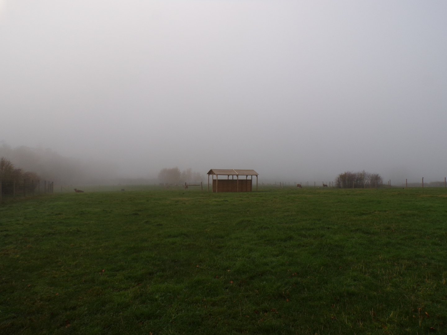 White-lipped deer enclosure (2)