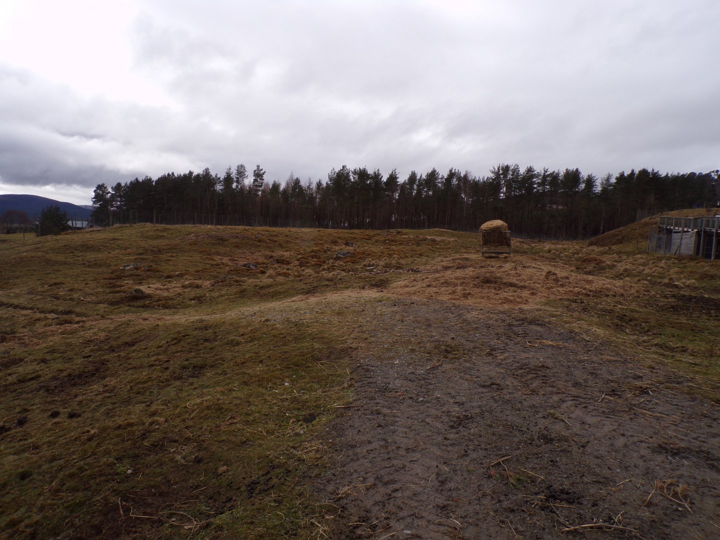 White-lipped deer enclosure 5.4.24
