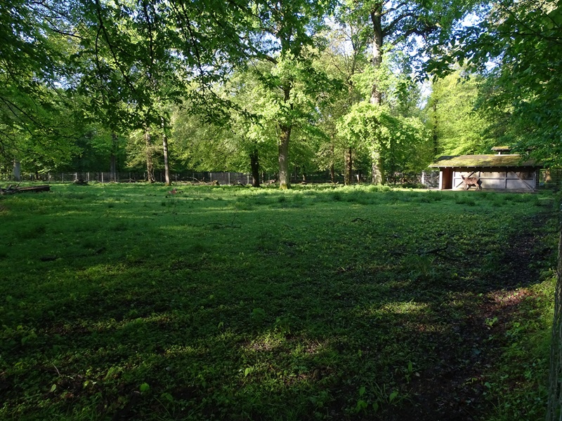 White-lipped deer enclosure