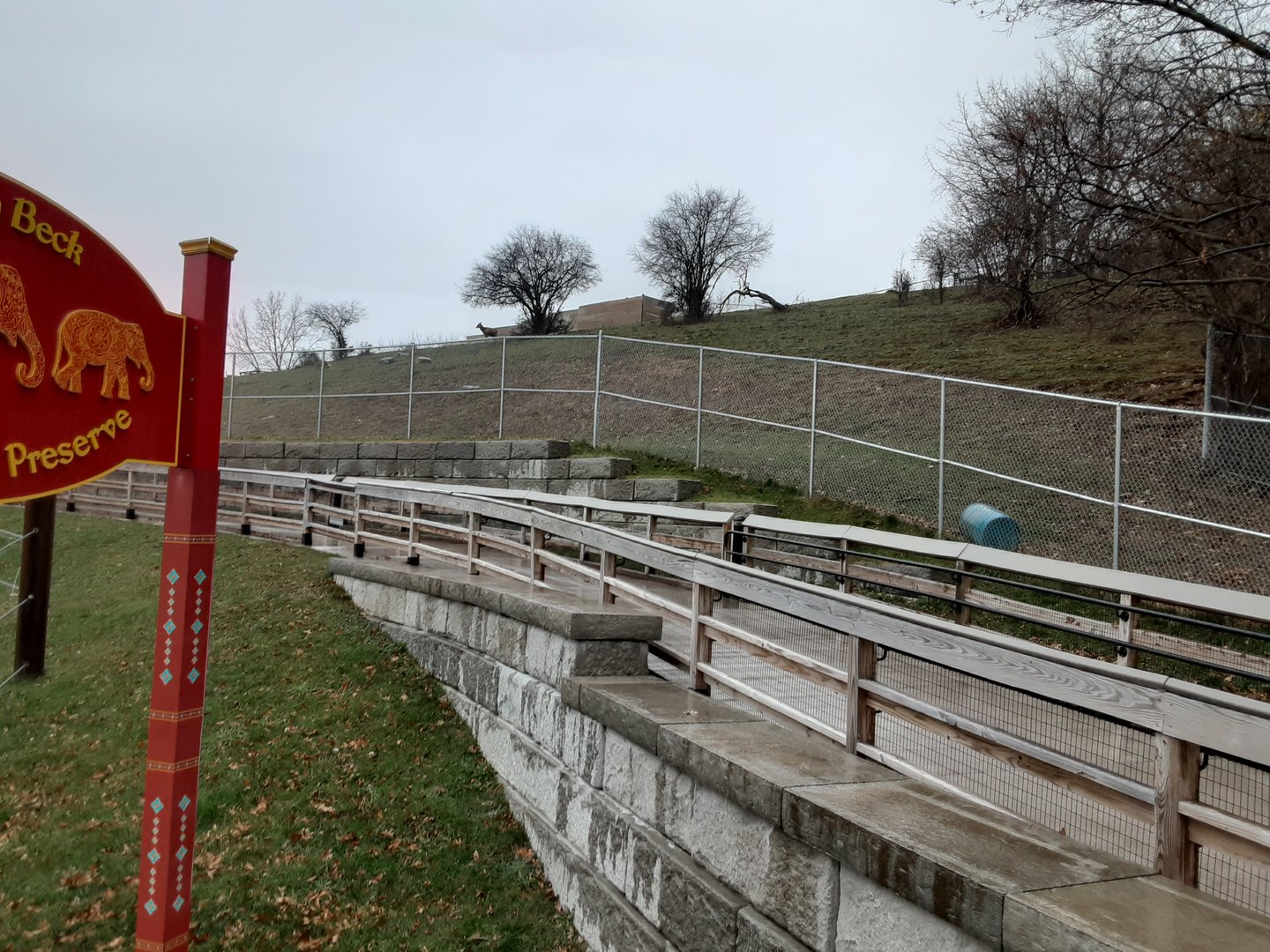 White-Lipped Deer Exhibit- from Red Wolf Viewing Area