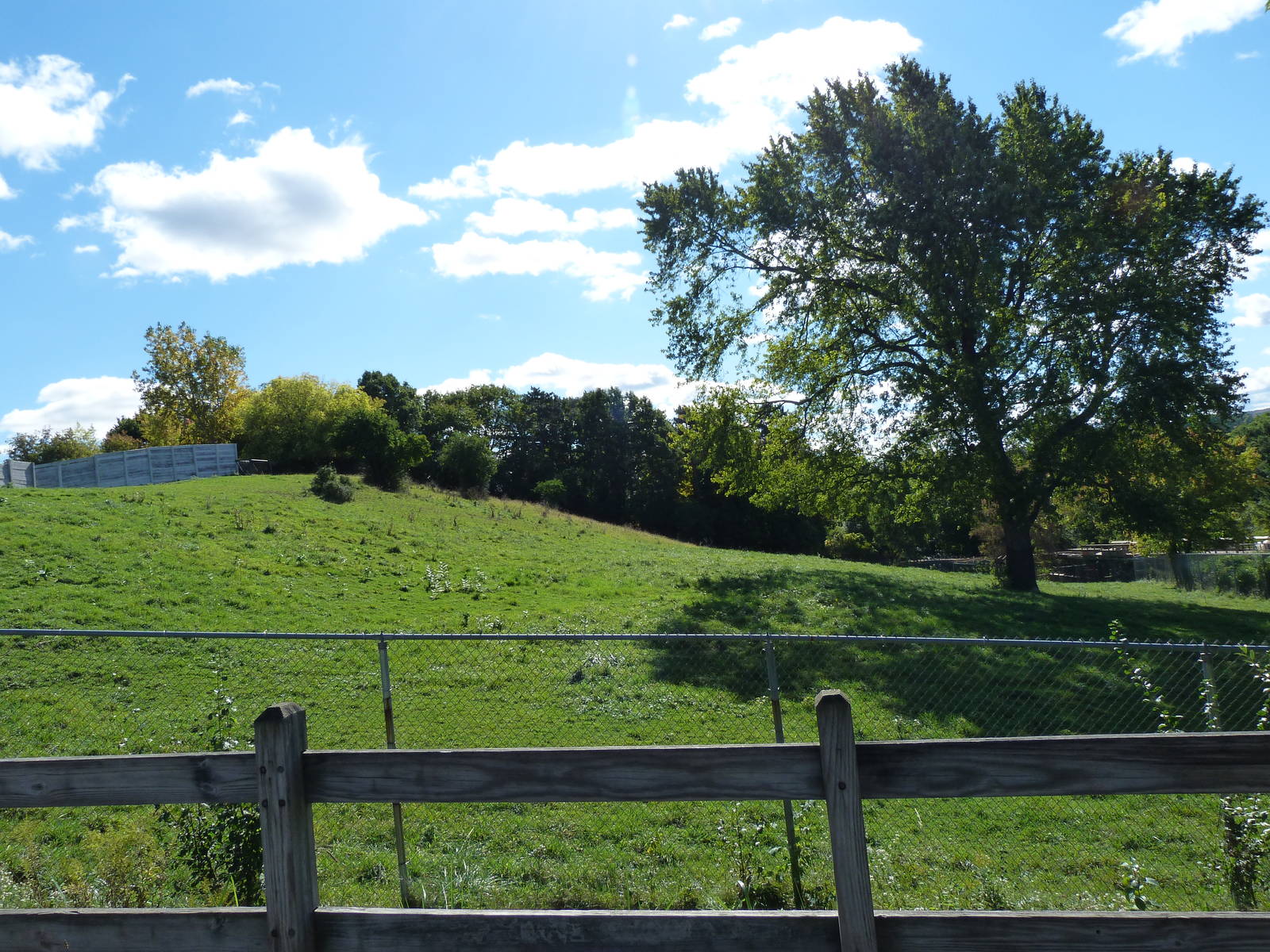 White Lipped Deer Exhibit