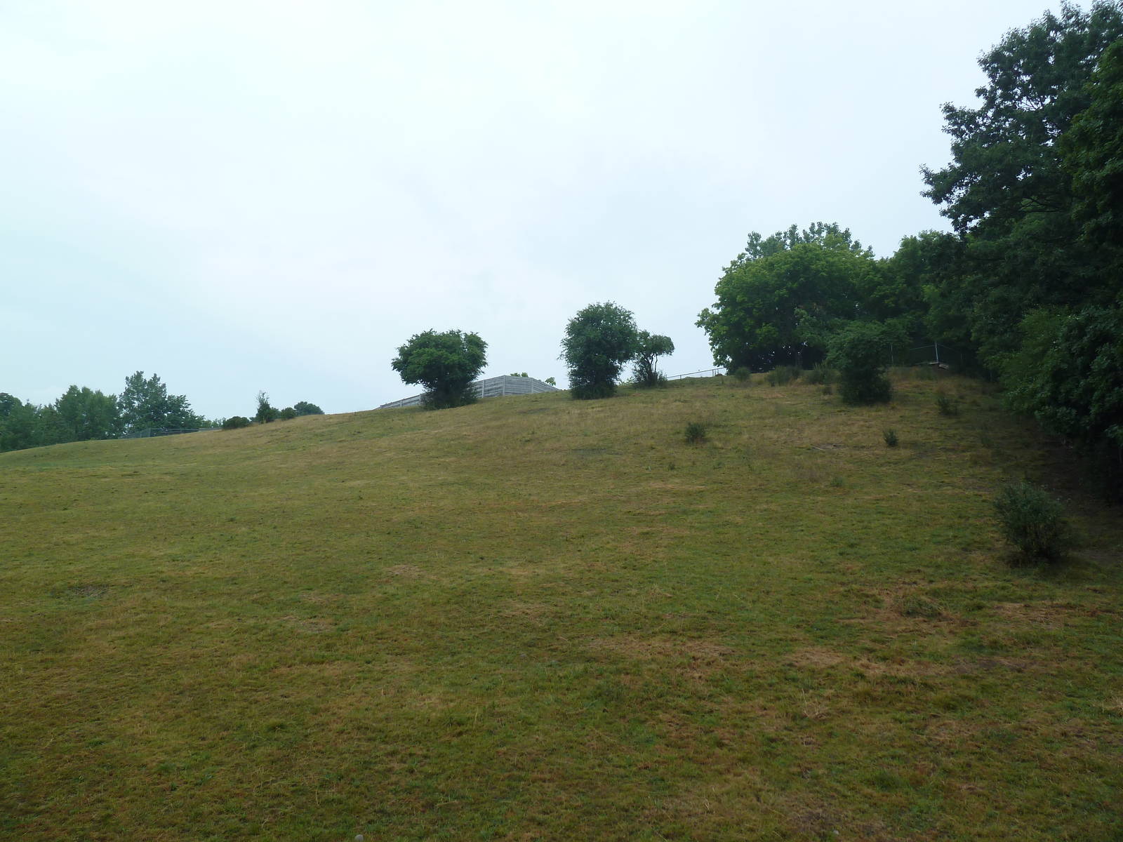 White-Lipped Deer Exhibit