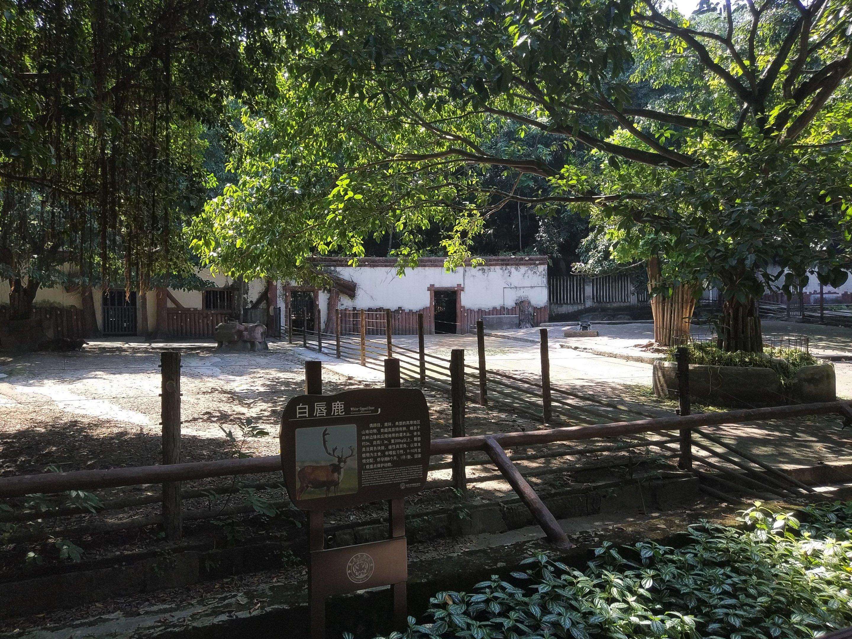 White-lipped Deer Exhibit