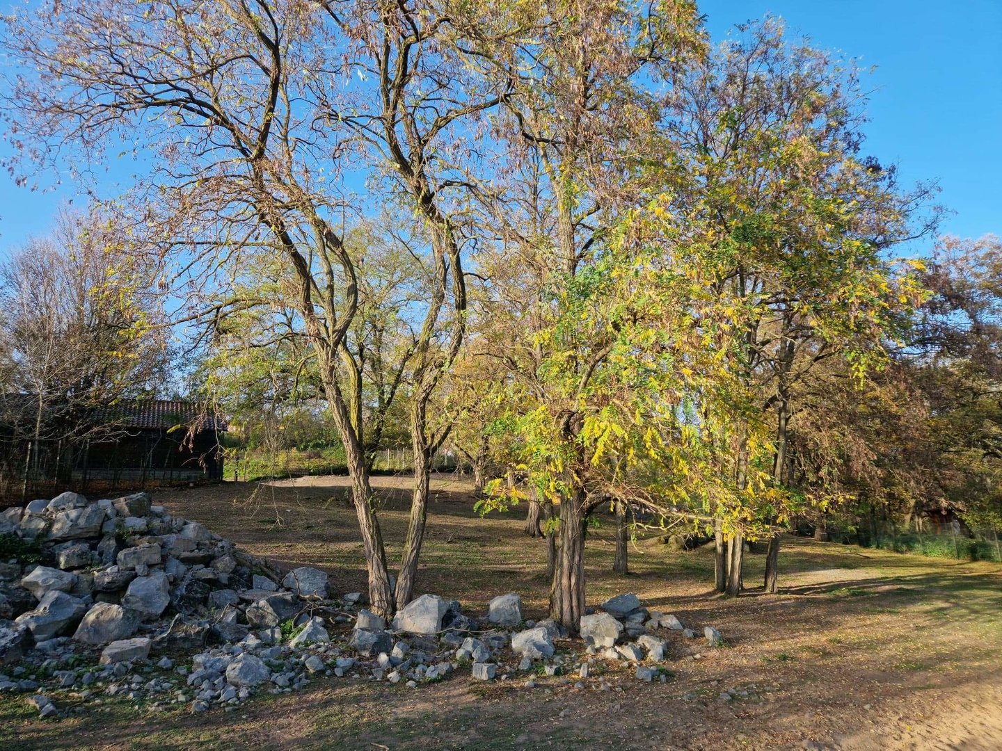 White-lipped Deer exhibit