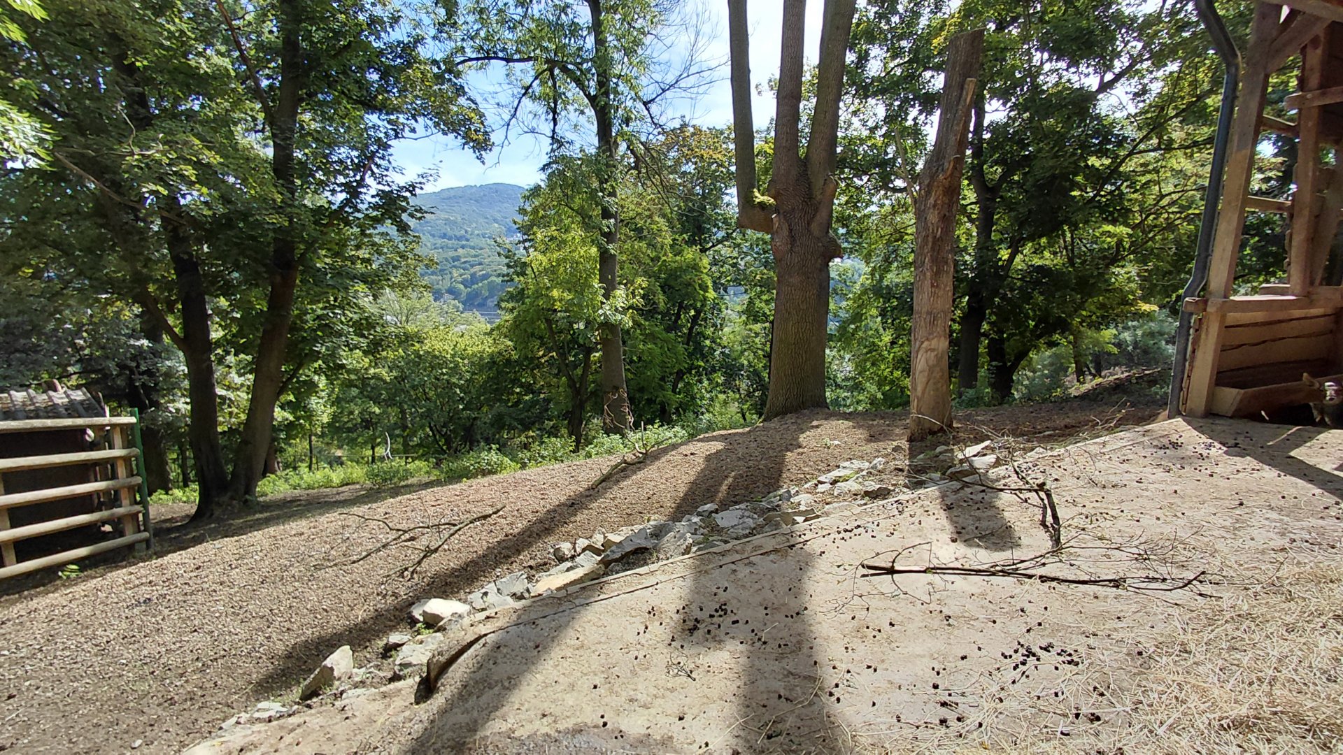 White-lipped deer exhibit