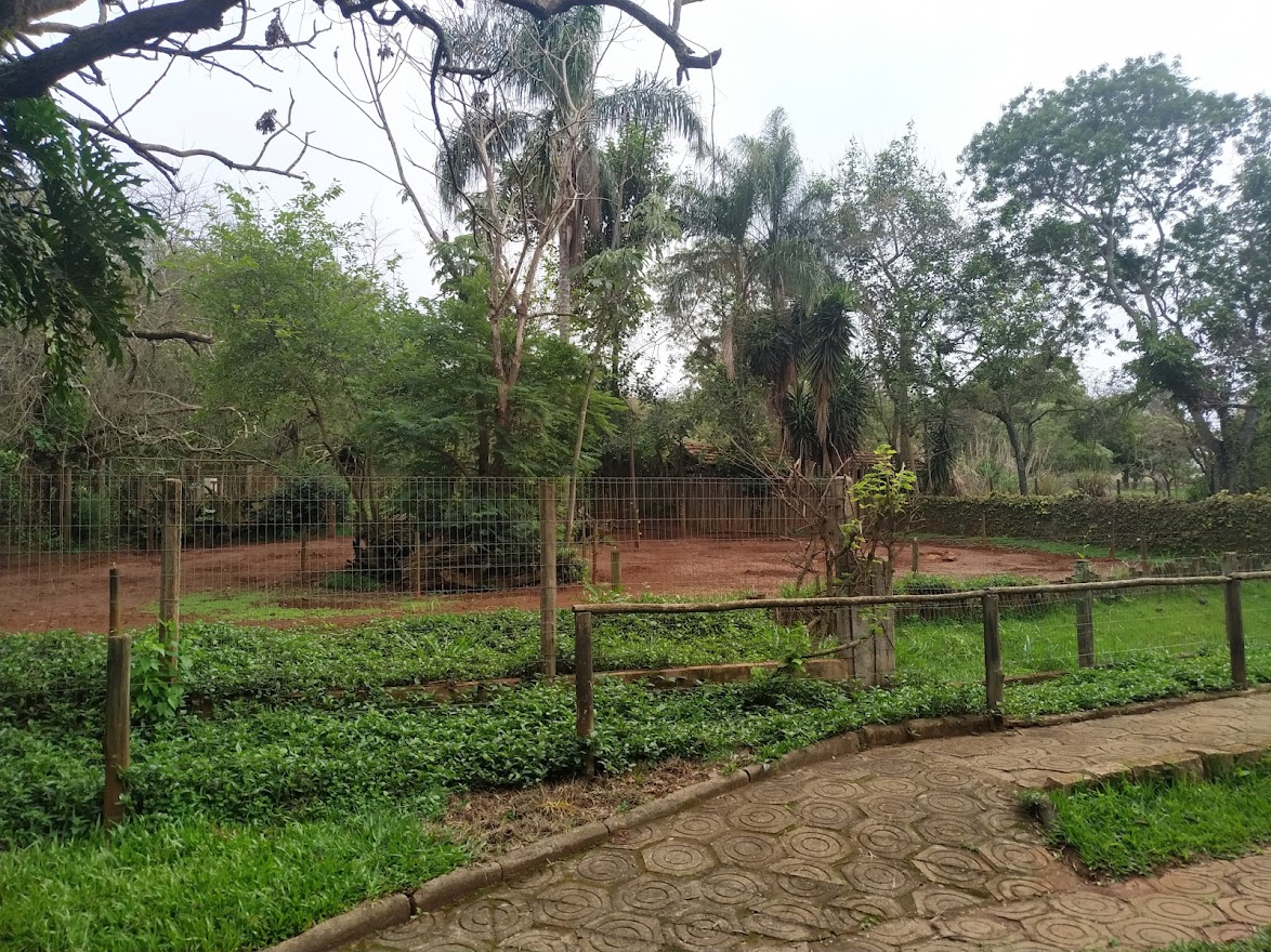 White-Lipped Peccary Habitat