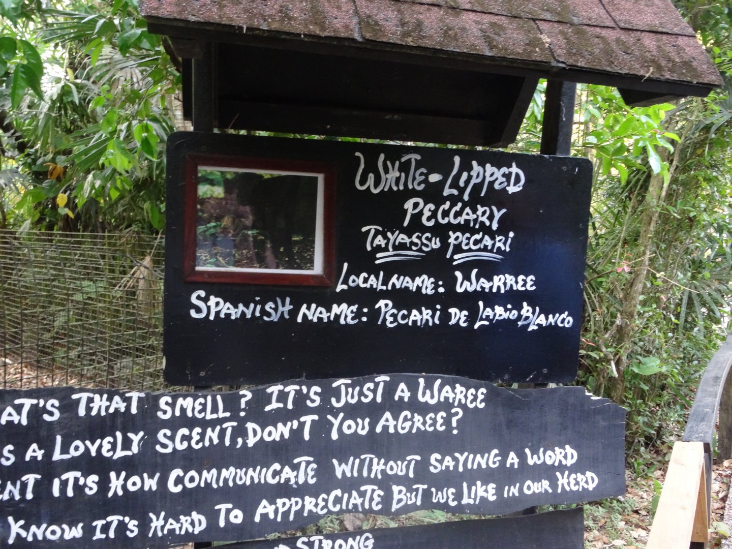 White-Lipped Peccary Signage