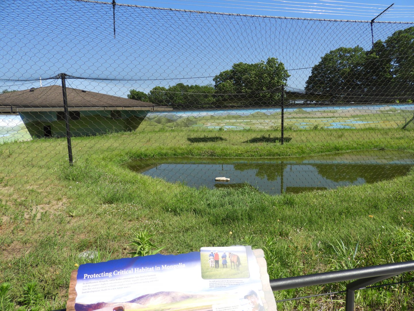 White-naped Crane exhibit - New in 2021